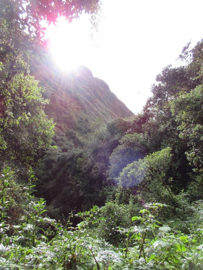 The trail: just as beautiful as the ruins.